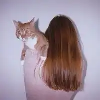 欧美情头
