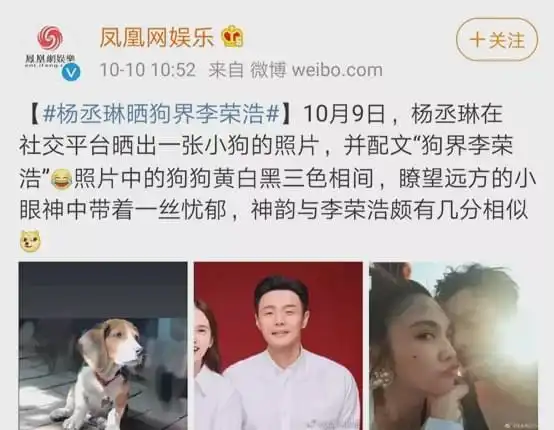 杨丞琳晒狗界李荣浩有一种夫妻,叫爱到深处自然黑
