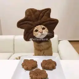 谁有这个没水印的头像啊
