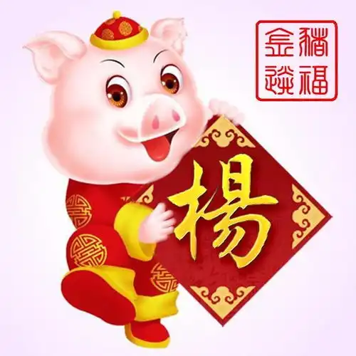 高清姓氏头像微信头像,金猪送福
