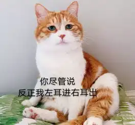 情侣专用表情包
