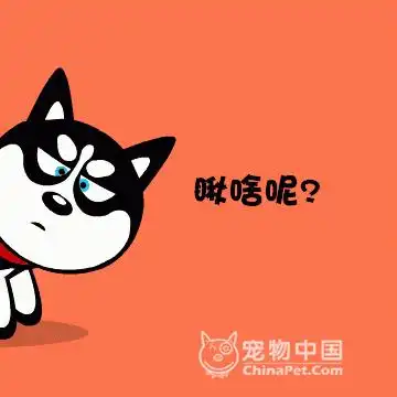 投身基建,搬砖去
