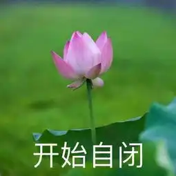 他们从热恋结婚到怀孕,热搜多到大家都恶心了...
