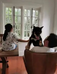 佟丽娅雷佳音疑似出轨,翟煦飞晒老公女儿搬家照辟谣,有说服力吗
