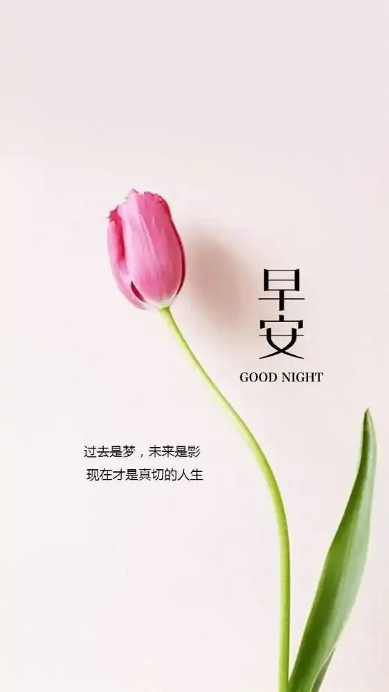 2020微信很经典的早安励志精辟语录

