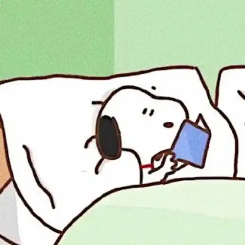 一波超好看的头像来袭你喜欢谁呢
