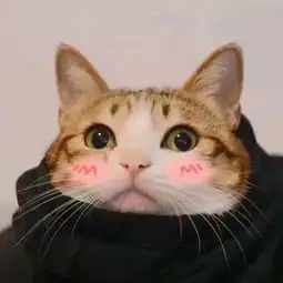 谁有那个猫或者狗的情侣头像,很可爱,前段时
