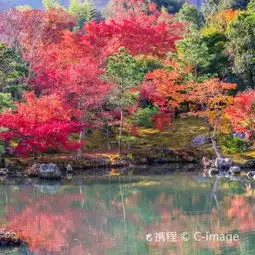 东京代代木公园攻略,代代木公园undefined门票游玩攻略地址图片门票价格
