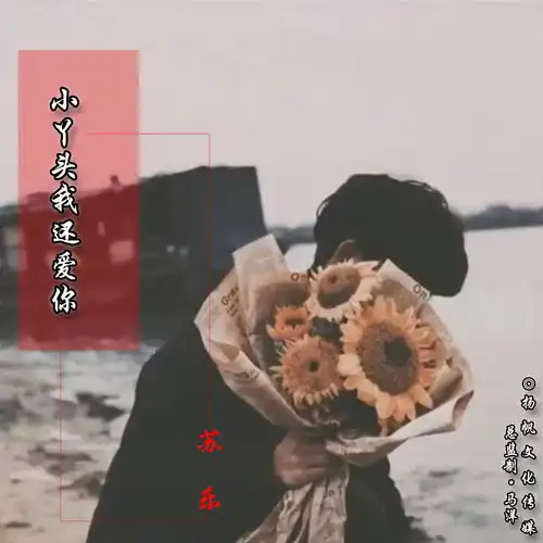 小丫头我还爱你苏乐高音质在线试听小丫头我还爱你歌词歌曲下载酷狗音乐
