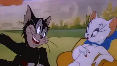 猫和老鼠汤姆正和母猫约会,黑猫过来捣乱,还把汤姆扔进游泳池
