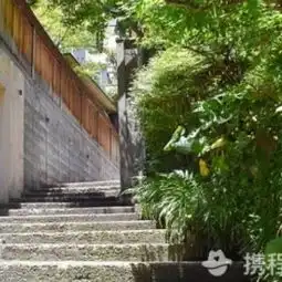 东京原宿攻略,原宿undefined门票游玩攻略地址图片门票价格

