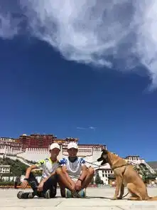 途径怀化,他们带着狗150天跑步去了拉萨
