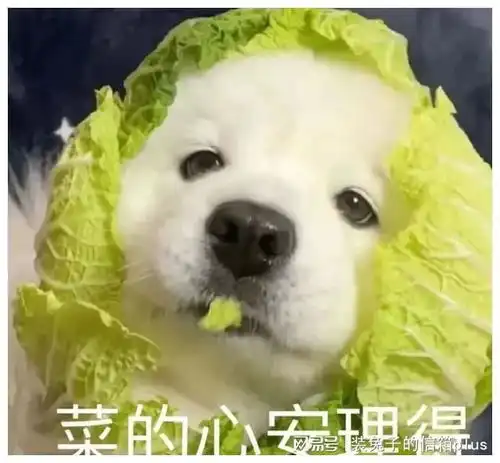 乌军歼敌一亿,顺利转进战俘营
