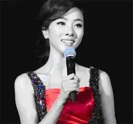 央视主持李思思的老公是谁揭秘李思思依靠老公上位真相
