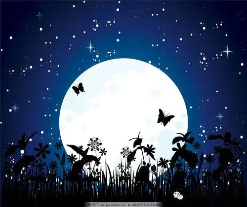 写给自己披星戴月,静待花开
