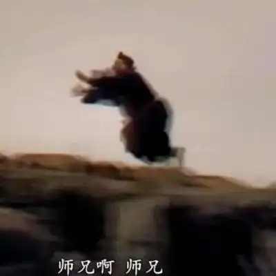 人类高质量情侣头像沙雕搞笑
