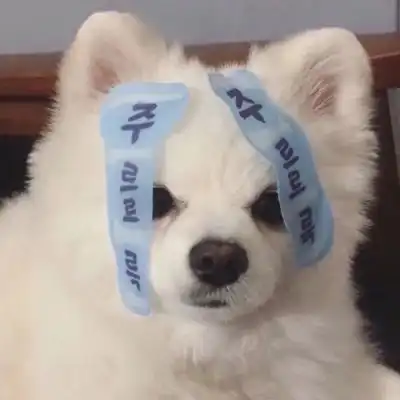治愈萌宠
