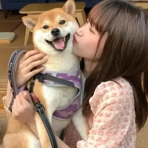 想和你一起用情侣头像
