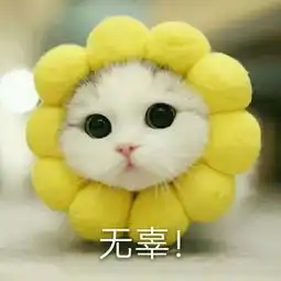 野鸡走红毯肆无忌惮露点,说到底还是戛纳的锅
