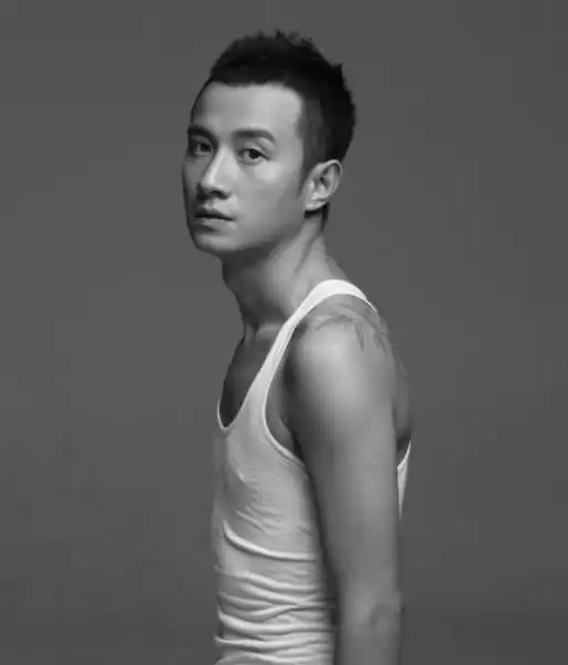 文章的衰败史从国民小生到劣迹艺人,他到底经历了什么
