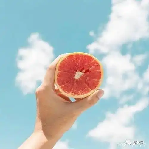 七月发早安的励志句子,句句正能量,让人深受鼓舞
