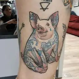 小猪纹身,猪年争做社会人儿
