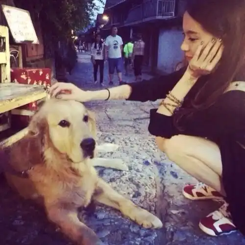 在小母猫伤心欲绝的时候,一只猫爪伸了过来别怕,我永远在你身边
