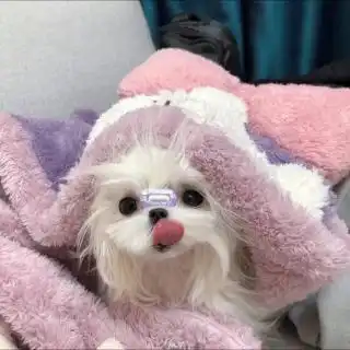 在线收听阿澈.荔枝
