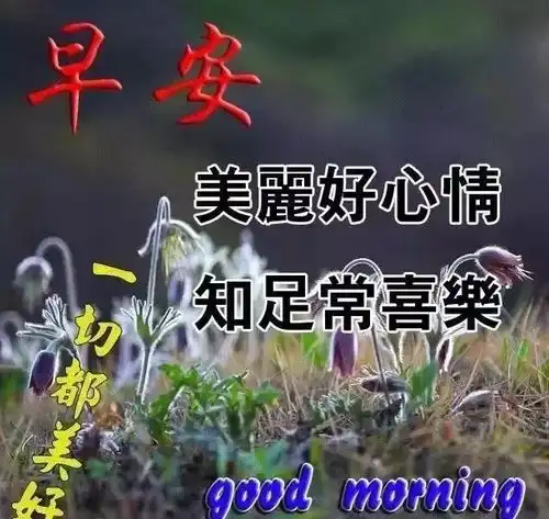 新版清晨早上好问候语微信朋友圈最美早安祝福表情图片
