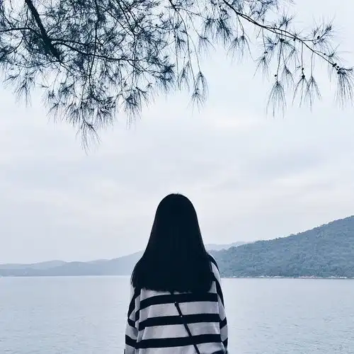 小草成长记
