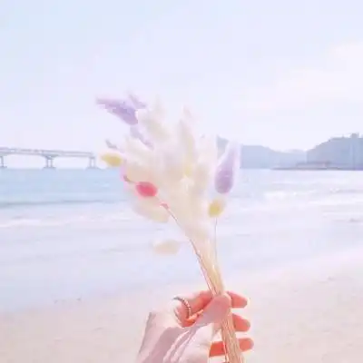 简单小清新的静物qq头像精选所风景静物头像我要个性网
