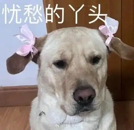 广东晴燥天气超长待机

