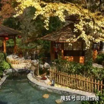 创意年会大赏温泉年会系列
