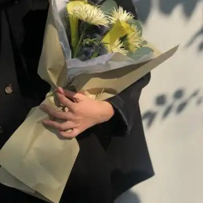 叶面光滑如镜
