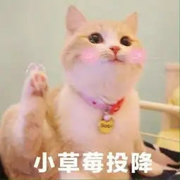 房东的舒适美屋招租,房间已上封面

