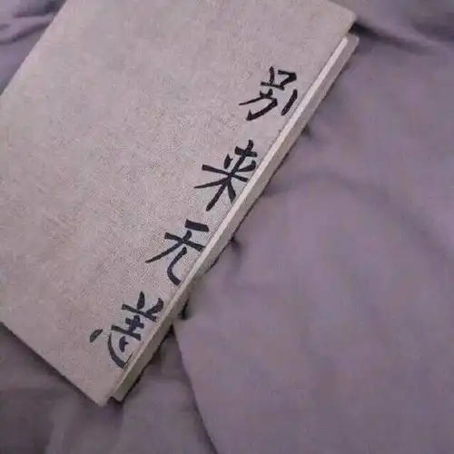 背景图生有热烈,藏与俗常
