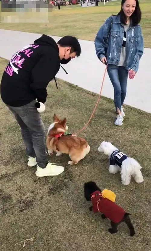 网友偶遇王思聪街头秀恩爱,情侣装街边遛狗,这次终于不是网红了
