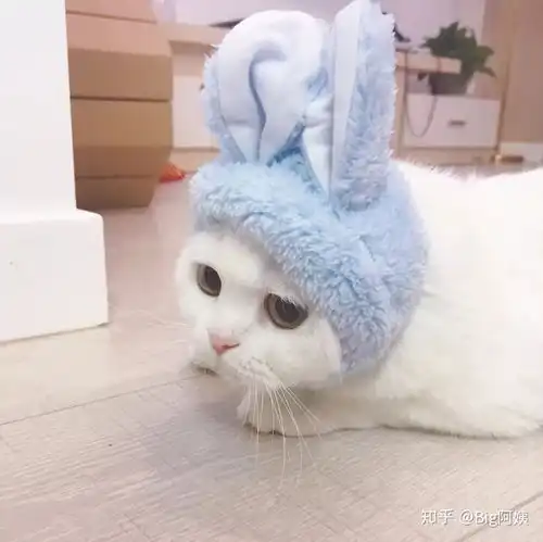 有哪些适合爸爸妈妈用的微信头像
