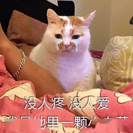 苹果香蕉橙子的爱恨情仇
