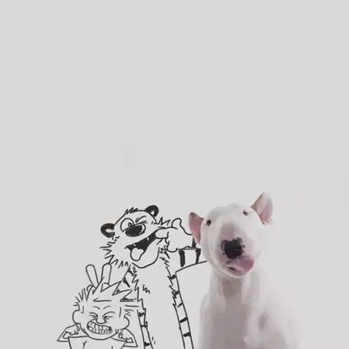 闺蜜头像
