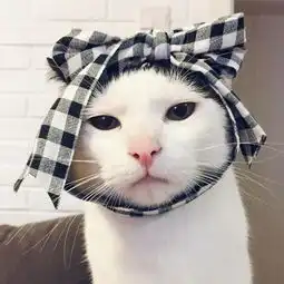 求一组高清情侣头像

