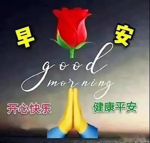 伤过,痛过,但一直都笑着输过,败过,但从来没怕过,早安问候
