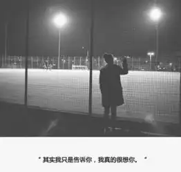 小短句
