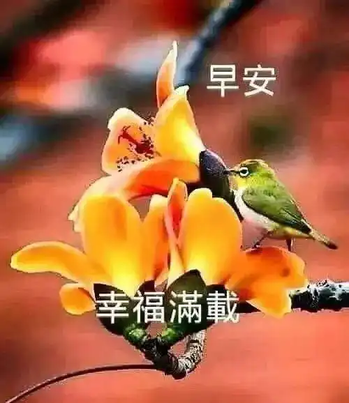 10月4日秋季微信朋友圈早安问候语录图片最新版清晨祝福语暖心句子送给你
