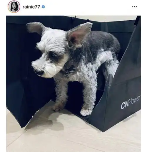 杨丞琳晒与王心凌同框照,力破闺蜜两人不和传言
