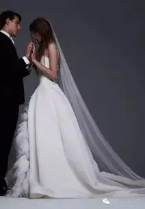 verawang2017秋冬婚纱系列型录
