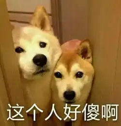 截胡一姐抢c位,女星一夜爆红有内幕
