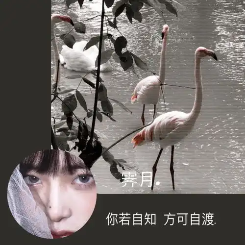 让你心动的小众情侣网名头像背景套图
