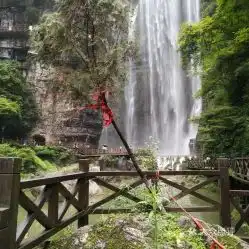 电话,地址,价格,营业时间夷陵区周边游
