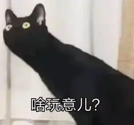 舔狗到底是个啥玩意儿
